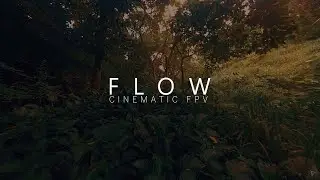FLOW | Cinematic FPV | AlfaRC F2 Cineboy Cinewhoop