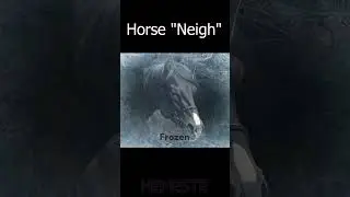 🐎11 Horse 