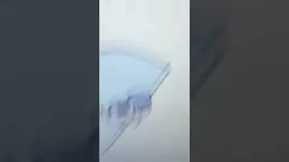 16 октября 2022 г.
