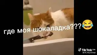 26 января 2022 г.