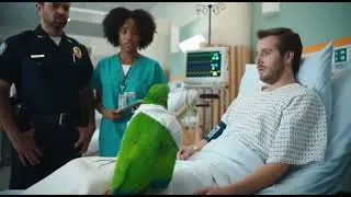 Parrot Becomes a Hospital Doctor&hellip; Somehow