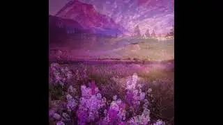 Vladimir Torero (The Mystery of Majesty) official acoustic guitar track 