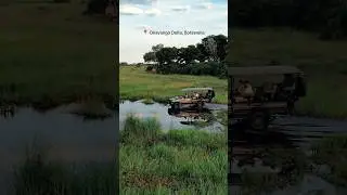 This is what game drives in the Okavango Delta look like. 🐘 #safari #okavangodelta #botswana