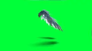 Wings That Want to Fly &mdash; Even in Green Screen 🕊️✨