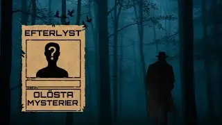 OL&Ouml;STA MYSTERIER: S&Ouml;MNMANNEN I V&Auml;XJ&Ouml;