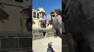 City Palace Udaipur # Rajasthan 