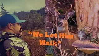 Hiking Deep Into Old Growth Timber | Calling in a Young Buck
