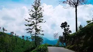 On The Way to Mini World's End, Roberiya (Madulsima) Sri Lanka