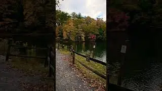Fuller Lake #pennsylvania #nature #lake #autumn #woods