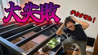 リクガメケージの設計をミスって生活する場所がなくなってしまいました…