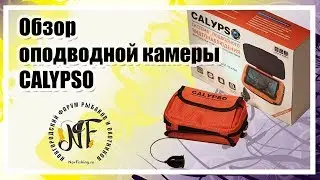 Обзор подводной видеокамеры Calypso
