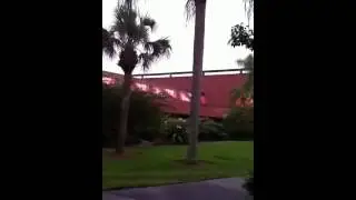 Polynesian walk from TTC