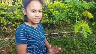 children enjoy searching jamaican field cricket.