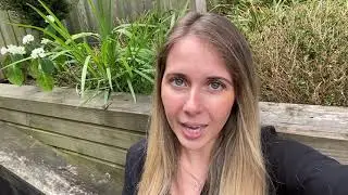 What exactly is CurcuWIN?