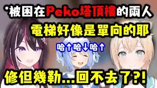 誤入Peko塔的Azki跟風真 馬上就接受了hololive的洗禮w【AZKi x  風真伊呂波】【Hololive中文精華】