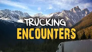 A Truckers Nightmare: INSANE Cryptid Encounters on the Night Shift + More