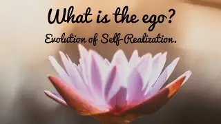 What is the Ego and the Evolution of Self-realization