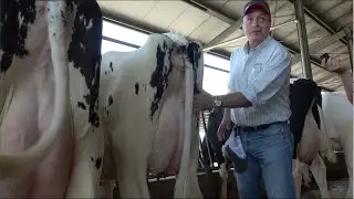 PROGRAMMA GENETICO SEMEX: COME DEFINIRE I CRITERI DI SELEZIONE