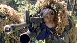 SQUIRREL RIFLES (A Challenge) #SquirrelRifle