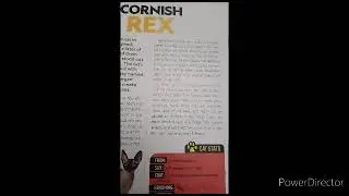 I'm Reading My National Geographic Kids Cat Breed Guide Part 31.