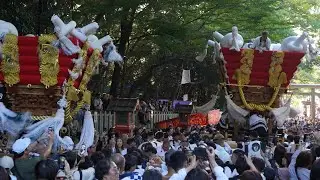 めっちゃ元気な河内　豪快に揺らす　枚岡神社秋郷祭2024