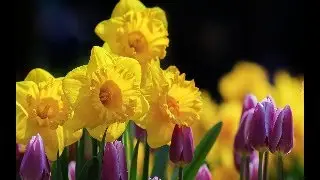 Как я давно с вами не общалась!