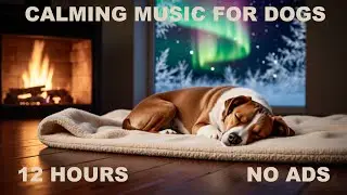 12 HOURS ❄️ Winter Dog Sleep Ambience | Calm Snowy Night Sounds
