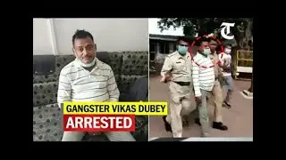 Video: Gangster Vikas Dubey arrested by Ujjain police. 