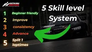 Car setup skill levels explanation | Assetto corsa competizione