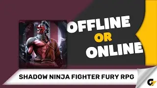 Shadow Ninja Fighter Fury RPG game offline or online ?
