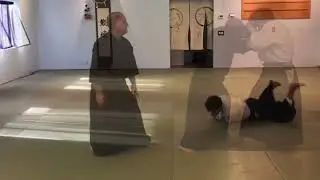 Aikido: Working Through Yokomenuchi Kaiten Nage