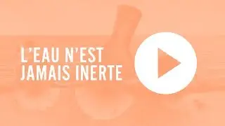 Vitbot - L'eau n'est jamais inerte