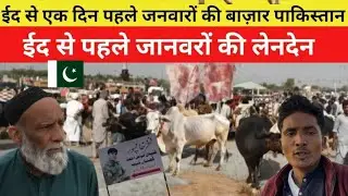  Animal Market in Pakistan a Day Before Eid | 2026 |  Hameer Mishra vlogs 