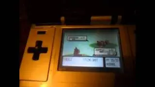 pokemon ruby my internal battery died and got a shiny wurmple?