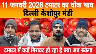 11 Jan 2026 Delhi 🍅 टमाटर होलसेल भाव | Keshopur Mandi | Today Tomato Rate #tamatar #tamatarmandi