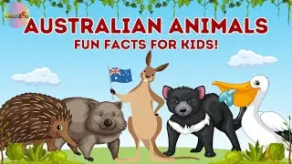 Discovering Australian Animals - Animal Fun Facts #animalnames #funfacts #australia