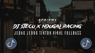 DJ STECU X NDUGAL RACING APRI REMX JEDAG JEDUG CINEMATIC TIKTOK VIRAL MENGKANE FULLBASS (Apri Rmx)