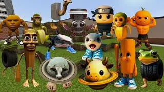 3D Los Tralaleritos Dicen Tralala vs NEW All Baby Italian Brainrot Animals in Minecraft PE