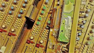 Dub Shepherds vs. Anti-Bypass - Diggers Dub [poison dart version]