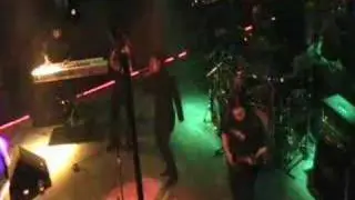 Autumn Leaves - The Awake