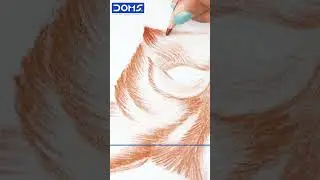 DOMS 24 Shades Colour Pencils &ndash; Vibrant Colors for Every Artist