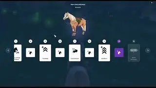 Training a horse from a level 10 to a 15 in 30 mints