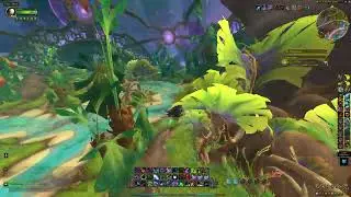 What Does the Fox Dream, WoW TWW Quest