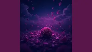 Midnight Veil