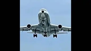 Turkish airlines flight 981 #viral #plane #viralvideo #crash #video #planecrash