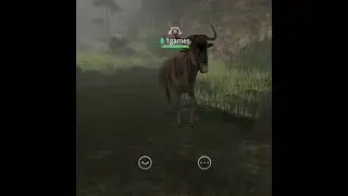 Wild Animals Online (WAO) - New Animals Update