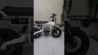 Coswheel CT20s - Coswheel T16 Size Comparison #evsupreme #bikeelectric #ebike