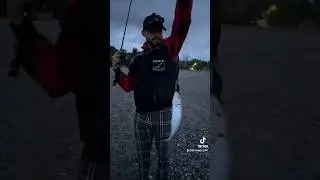 🎣💥ULTRA LIGHT SPINNING al CARANGO💥🎣