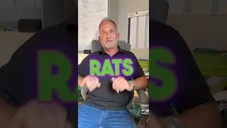 15 years of RATS? The solution is here #pestcontrol #ratinfestation #ratcontrol