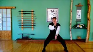 Vid NaiHanChi Tai Chi